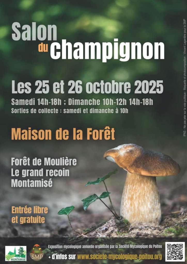 Affiche 2025 du salon du champignon
Exposition mycologique annuelle de l'association
